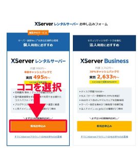x-server02